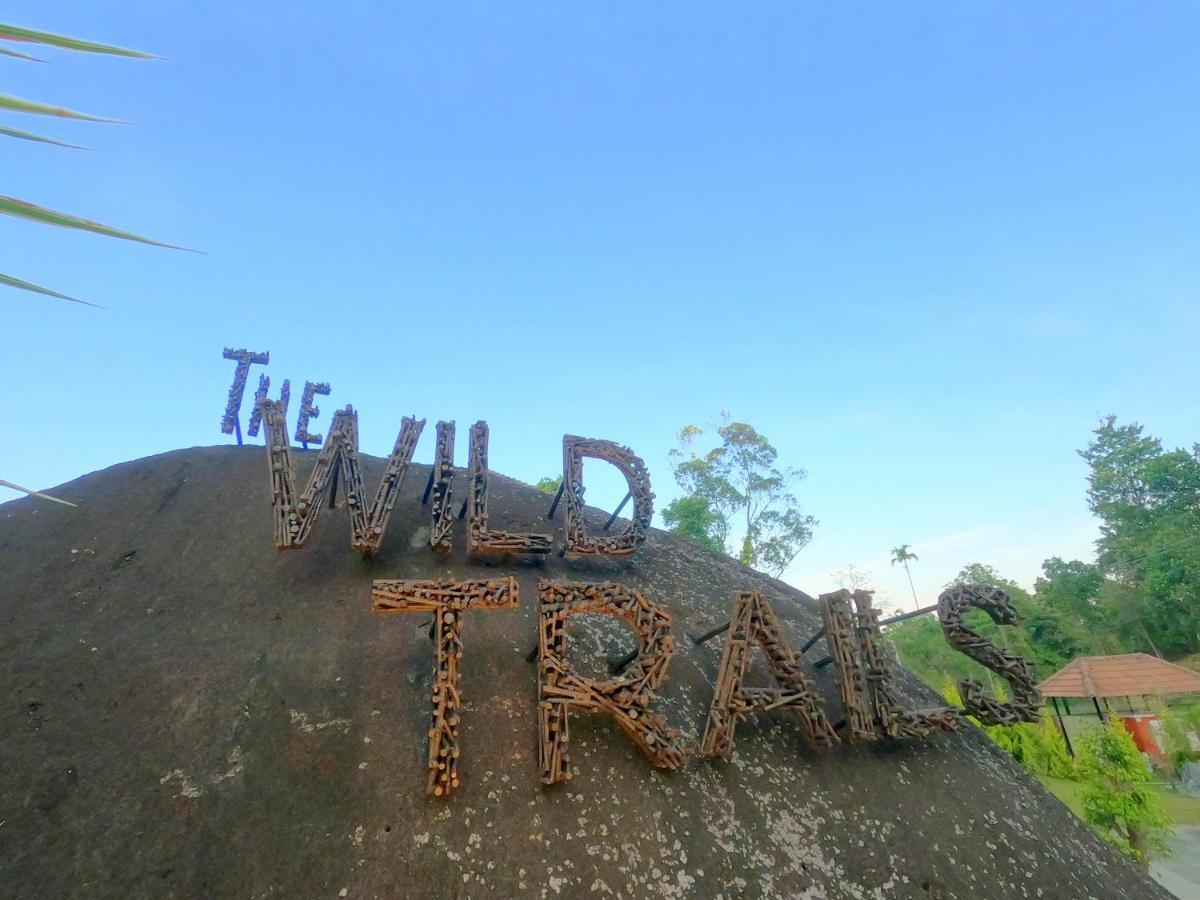 The Wild Trails Clarks Exotica , Munnar 호텔 외부 사진